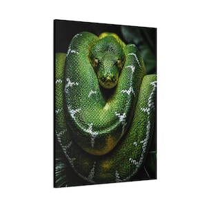 Bobina Esmeralda Python Verde de Precisão imagem 12