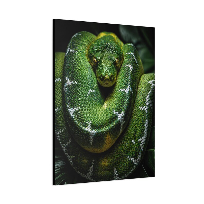 Bobina Esmeralda Python Verde de Precisão imagem 12