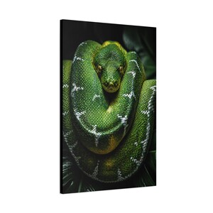 Bobina Esmeralda Python Verde de Precisão imagem 14