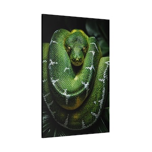 Bobina Esmeralda Python Verde de Precisão imagem 2