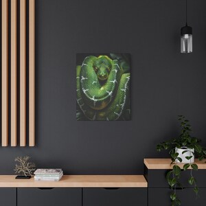 Bobina Esmeralda Python Verde de Precisão imagem 19