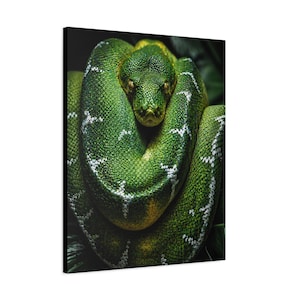 Bobina Esmeralda Python Verde de Precisão imagem 18