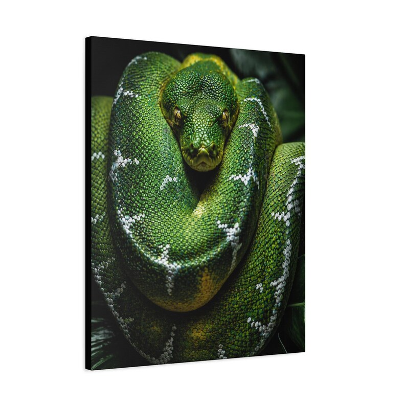Bobina Esmeralda Python Verde de Precisão imagem 18