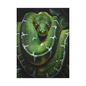 Bobina Esmeralda Python Verde de Precisão imagem 20