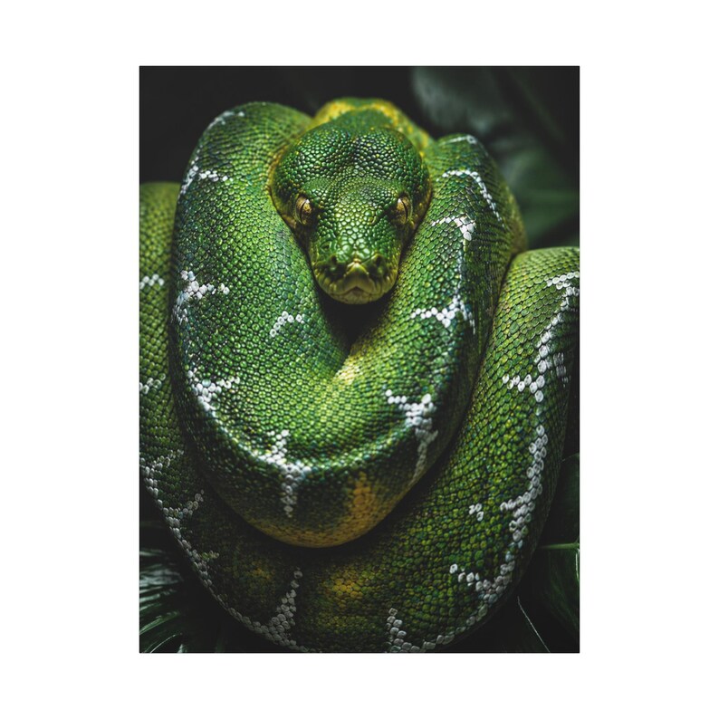 Bobina Esmeralda Python Verde de Precisão imagem 20