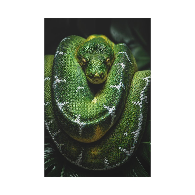 Bobina Esmeralda Python Verde de Precisão imagem 1