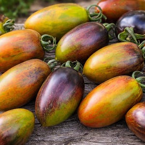 May include: An assortment of oblong tomatoes in various colors, including green, yellow, orange, and deep purple. The tomatoes are arranged on a weathered wooden surface, showcasing their diverse hues and textures. Some still have their green stems attached.