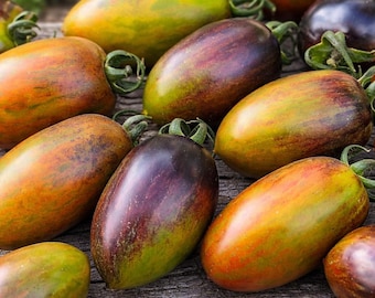 100 Brad's Atomic Grape Tomato Seeds – Rare Sweet Heirloom Rainbow Cherry Variety
