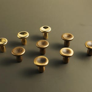May include: A collection of ten brass mushroom-shaped cabinet knobs. The knobs have a variety of finishes, including polished gold and a darker, antique bronze. The knobs are arranged on a neutral gray surface.