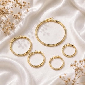 May include: A set of five gold-toned hoop earrings in varying sizes, each featuring a smooth, polished circular band and a hinged post closure. The earrings are arranged in a cluster, showcasing a consistent metallic finish and simple design.