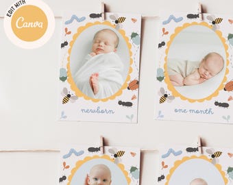 Banner fotográfico del primer cumpleaños, banner fotográfico mensual editable del primer año del bebé, banderines de hitos "One Cute Bug", JD046