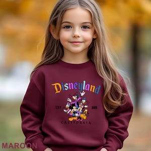 Puede incluir: Una sudadera granate con la palabra "Disneyland" en letras coloridas y un gr&aacute;fico de personajes de Disney. El texto "EST 2025" y "CALIFORNIA" tambi&eacute;n est&aacute;n impresos en la sudadera.