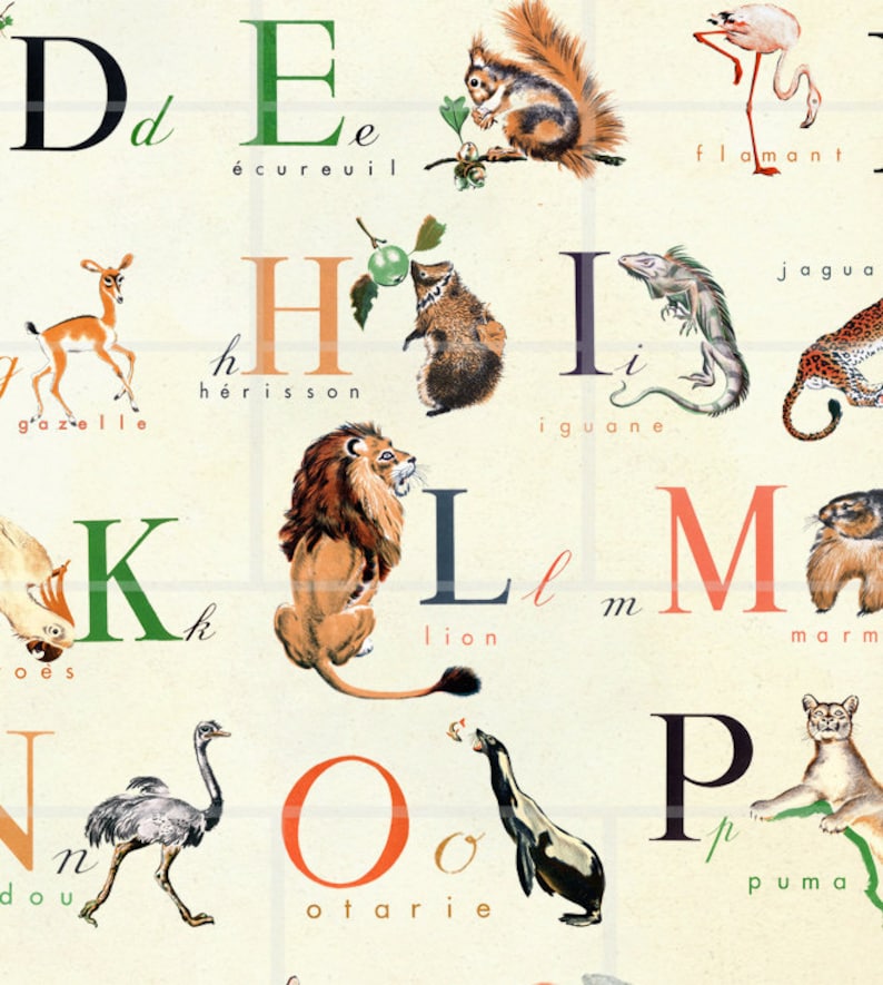 French Alphabet Wonderful Animal Alphabet Print 16x20 | Etsy