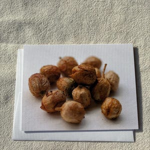yellow pouch tobacco Golden Harvest YELLOW Pipe Tobacco - 16oz Bag