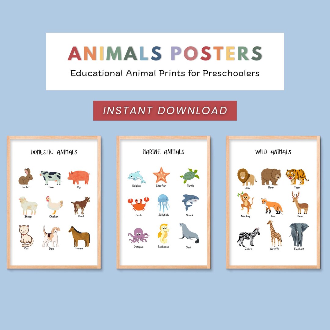 Animal Charts for Kids | Montessori Materials | Preschool Educational ...