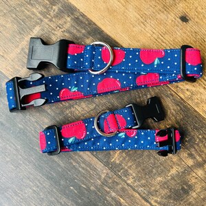 Puede incluir: Dos collares para perros con un estampado de manzanas rojas sobre fondo azul marino y lunares blancos. Los collares tienen hebillas de plástico negro y anillas en D de metal plateado. Un collar es más pequeño.