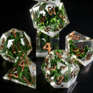 Natural Mountain Scenery Resin Dice Set, Clear Encapsulated Forest DND Dice, Handmade Polyhedral Dice for TTRPG Collectors & Gamers