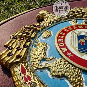 May include: A close-up of a gold and red boxing championship belt. The belt features gold eagle and leopard designs, red jewels, and the words "World Boxing Organization". The belt is on a brown surface.