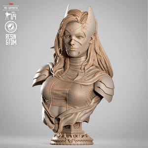 May include: A detailed bust of a female superhero, featuring a mask, cowl, and armored shoulders. The sculpture is in a neutral tone, with intricate detailing on the costume and facial features. The base has a decorative design. The text "TESTED PRE-SUPPORTED SCALE 1/4 RESIN & FDM" is visible.