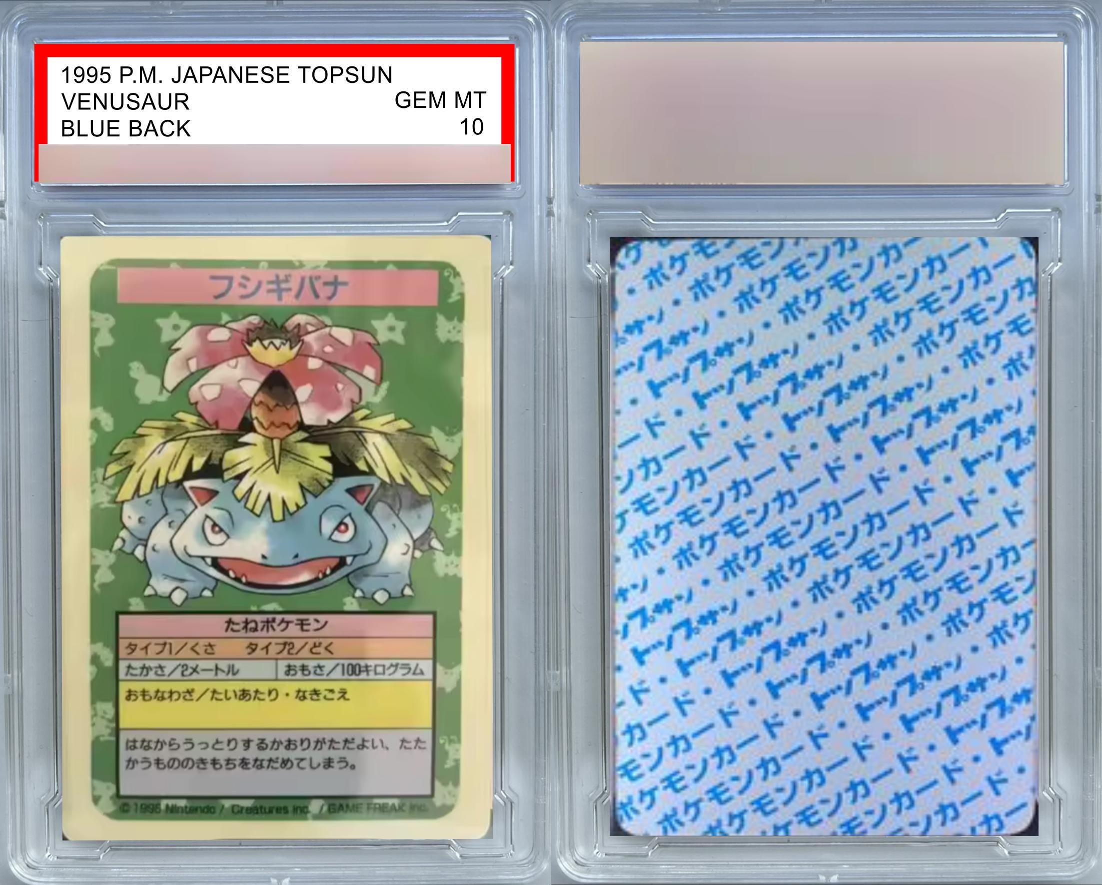 Pokemon Topsun 1995 Slabbed Graded Cards Proxy Replica Fan Art