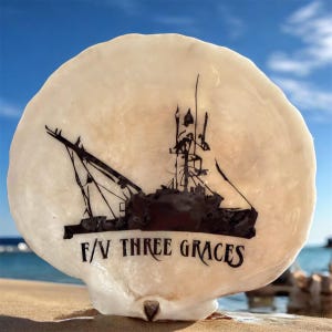 Personalized Local Cape Cod Scallop Shell Display – Custom Single-Color Logo or Silhouette