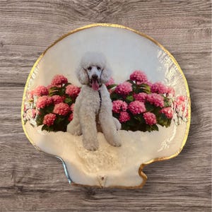 カスタムフォトシェル - ケープコッドキャッチ、飾り、スタンド、シェルのみで利用可能