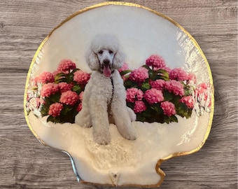 Concha con foto personalizada - Cape Cod capturado. Disponible como adorno, soporte y solo concha.