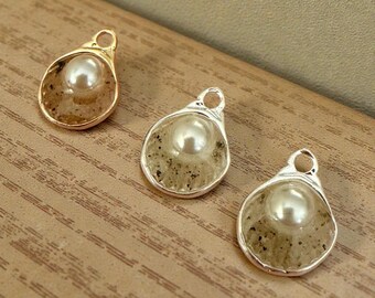 Dije de concha de vieira de arena de Cape Cod SOLAMENTE