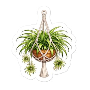 Puede incluir: Una pegatina con una ilustración en acuarela de una planta colgante. La planta tiene hojas largas y verdes y está en una maceta marrón, suspendida por un colgador de macramé. Varias plantas más pequeñas cuelgan debajo, todo sobre un fondo blanco.