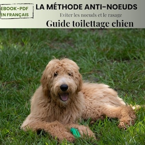 Verzorgingsgids voor honden met lang en krullend haar | De anti-klitmethode | PDF-e-book | Door een professionele trimmer (27 jaar ervaring)