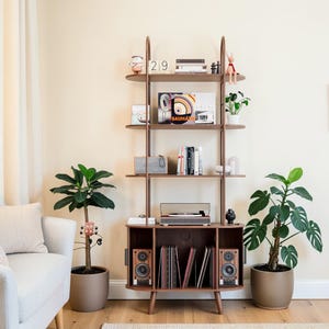 May include: A brown wooden shelving unit with a built-in cabinet, holding vinyl records, speakers, and a record player. The shelves display books, decorative items, and a small potted plant. Two potted plants flank the unit.