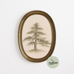 May include: An oval-shaped wall art piece featuring a detailed watercolor illustration of a single coniferous tree in shades of green and brown, set against a cream background and enclosed in an ornate, antique-style metallic gold frame.