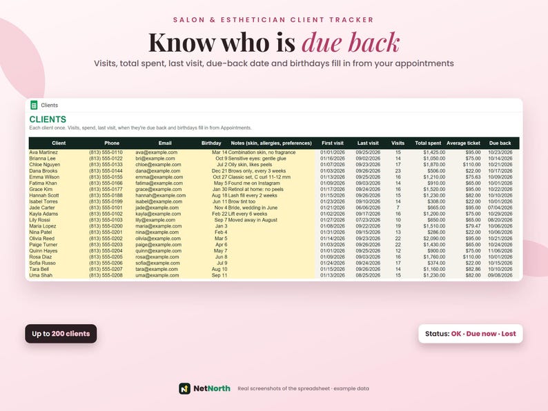 Esthetician Client Tracker, Salon Client Spreadsheet & Appointment Log ...