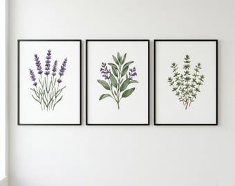Lavender Sage Thyme Botanical Prints Set of 3 Digital Download