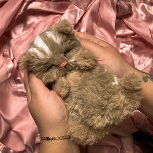 Poppy - Peluche di gattino addormentato con peso, gattino neonato, gattino in pelliccia sintetica fatto a mano, gattino cucciolo realistico, morbido e carino