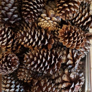 Puede incluir: Un juego de tres tazas de cerámica con un acabado mate moteado. Las tazas son de color crema, gris claro y gris oscuro. Cada taza tiene un diseño simple y minimalista.