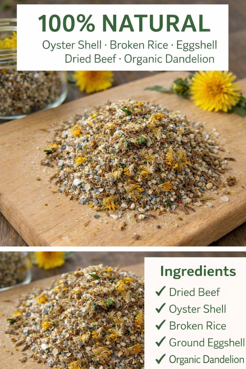 Beef Protein & Calcium Mix for Hermit Crabs #8 - Etsy Australia