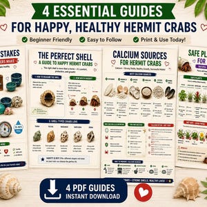 May include: Four educational guides for hermit crab care featuring text titled 4 Essential Guides for Happy, Healthy Hermit Crabs. The documents include sections on common mistakes, shell selection, calcium sources, and safe plants with illustrations.