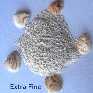 May include: A mound of extra fine, pale sand is encircled by six seashells. The shells are beige and brown, with a ribbed texture. The text "Extra Fine" is printed in blue at the bottom.