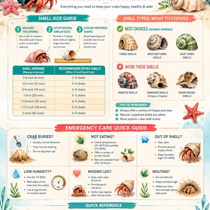 Hermit Crab Shell Size Guide | Emergency Care Poster (PDF Download)