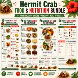 May include: A digital infographic titled Hermit Crab Food & Nutrition Bundle featuring four printable PDF guides. The charts detail safe and unsafe foods, protein sources, balanced diet components, and feeding schedules with illustrations of hermit crabs.