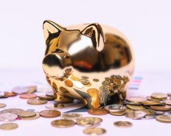 Geführte Meditation um Geld zu manifestieren | Richten Sie Ihre Energie aus werden reichlich | Digitaler Download