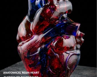 Custom and Ready Made Anatomical Resin Heart Sculpture – Hand-Cast, One-of-a-Kind