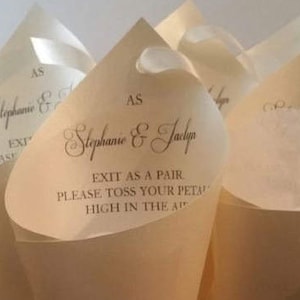 Stephanie & Jaclyn Petal Cone collection, Ivory shimmer Petals cones with ivory ribbon, Petal Cups, wedding petals cones, cones for petals image 2
