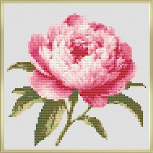 May include: A cross-stitch pattern of a pink peony flower in full bloom, with green leaves and stem. The flower has varying shades of pink, from light to deep rose, and is set against a white background. The image is framed in a gold border.