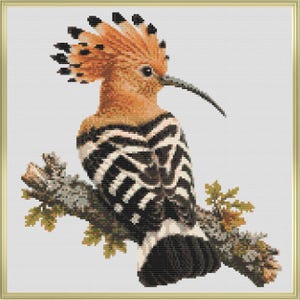 May include: A cross-stitch pattern featuring a hoopoe bird with a prominent orange crest tipped in black, a long slender beak, and black and white striped wings. The bird is perched on a textured brown branch with small green leaves.