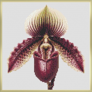 Paphiopedilum Orchid Cross Stitch Pattern PDF, Botanical Flower Embroidery Design, Easy Modern Needlepoint Chart