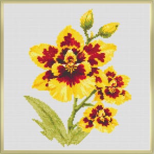 Cross stitch pattern PDF, Oncidium orchid, botanical realistic flower, instant download