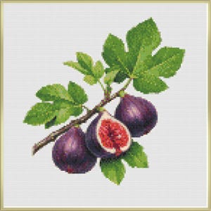 May include: Cross-stitch design of figs on a branch with green leaves. The figs are a deep purple color, with one cut open to reveal the red interior. The leaves are a vibrant green, and the background is white.