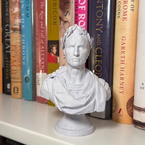 May include: A light gray speckled bust of a male figure wearing a laurel wreath on the head and a draped garment over the shoulders. The sculpture features a pedestal base and is rendered in a matte finish with a textured, stone-like appearance.